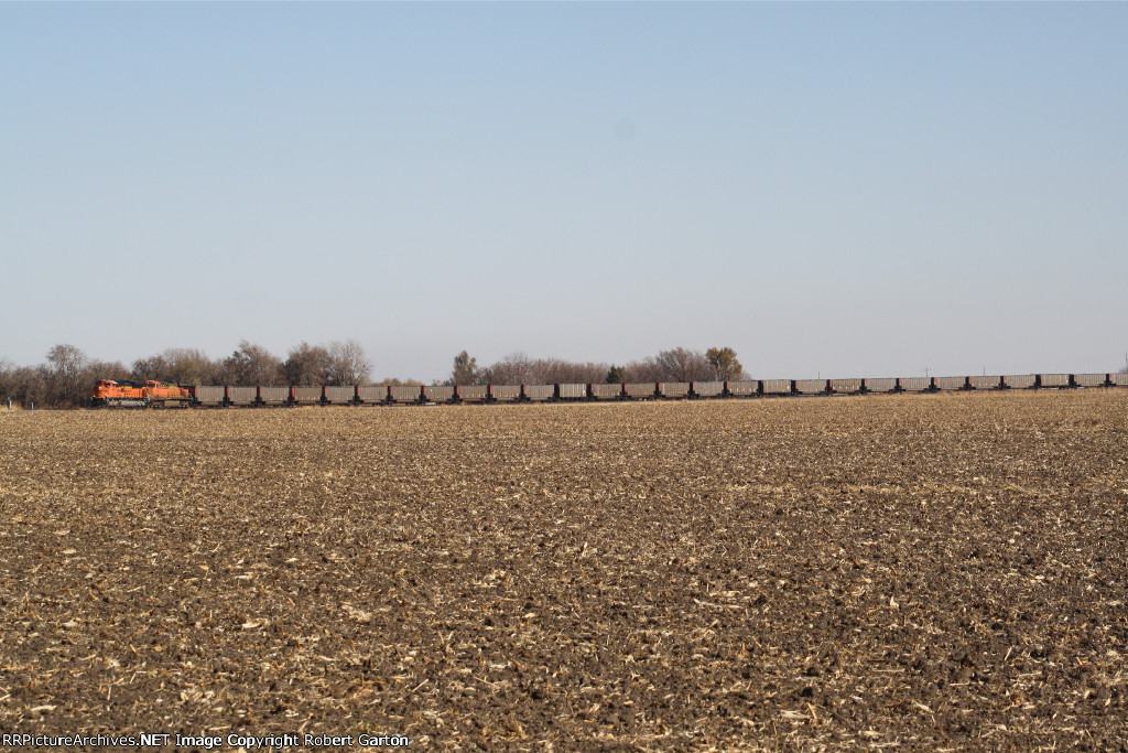 BNSF 9079's coal empties stretch around a harvested corn field